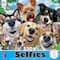 Assorted Ceaco® Animal Selfies Jigsaw Puzzle